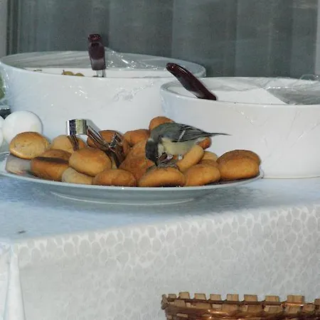 Selina Hotel Ayvalik